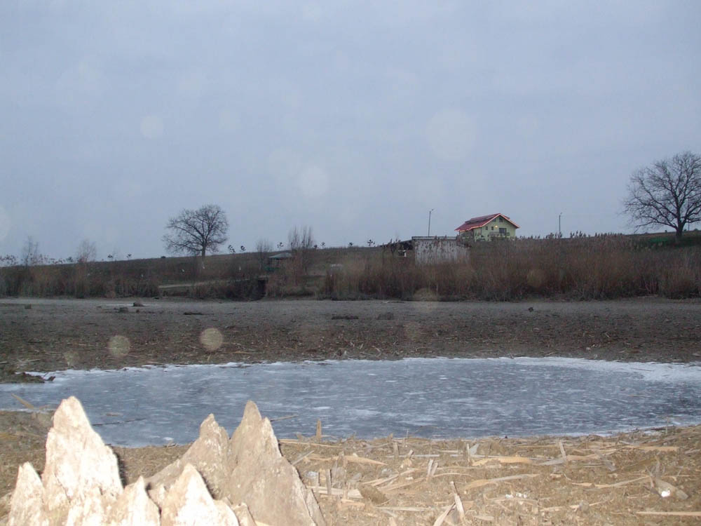 TANCABESTI SECAT - DSCF3483.jpg